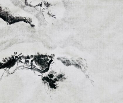 Le Pin sous la neige Photo © Claire Seika
